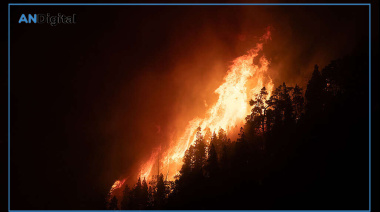 Se multiplicaron por diez los bosques patagónicos arrasados por el fuego