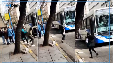Menores violentos en Mar del Plata: atacaron al colectivero porque no les permitió viajar sin tarjeta