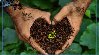 Día Mundial del Medio Ambiente: estrena en Amazon el laureado documental “Groundswell”