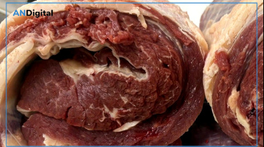 Consumo de carne vacuna “por el piso” e importaciones récord