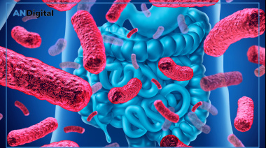 Microbiota, el órgano invisible: ¿Por qué es clave para la salud?