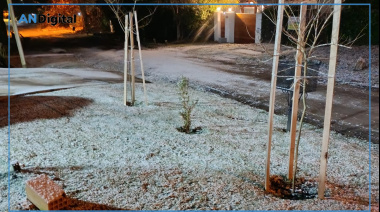 Ola polar: nieve en varios puntos de la provincia de Buenos Aires