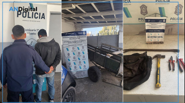 Robaron en una casa de La Plata y fueron atrapados mientras escapaban en un carro tirado por un caballo