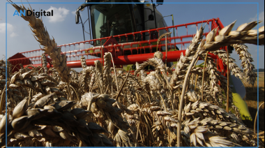 Maquinaria agrícola: fuerte caída de patentamientos en junio