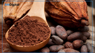 Día Mundial del Cacao: mitos y verdades sobre el chocolate