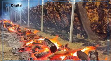 Asado gratis y fiesta con Amar Azul en el 157° aniversario de General Alvear
