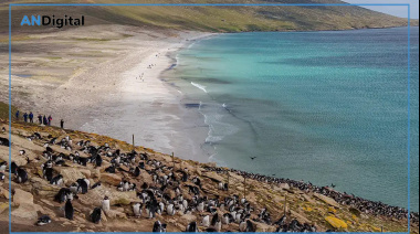 Tierra del Fuego se plantó por Malvinas: “Hay símbolos que no se dejan afuera”