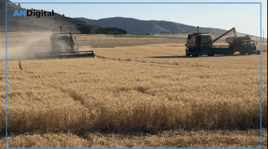 La actividad económica se frenó en mayo: el campo y la minería la sostienen ante la caída industrial
