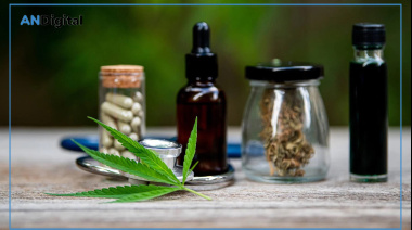 Dolor, ansiedad e insomnio: las principales razones de consulta por cannabis medicinal