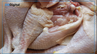 Investigan intoxicación masiva tras un evento solidario: sospechan de un brote de salmonella