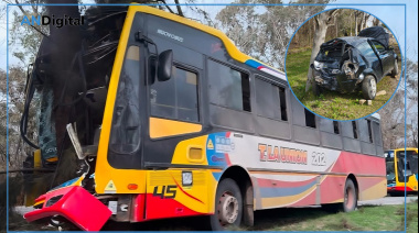 Impactante despiste de un colectivo en Berisso: se incrustó contra un árbol y hay más de 20 heridos