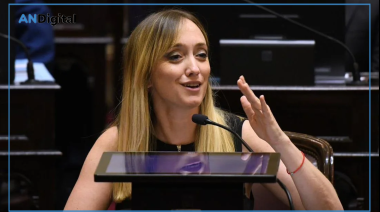 Ley de Tierras en el Senado: Fernández Sagasti pidió votar de forma remota por su embarazo y se encendió la polémica