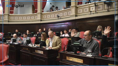 Impulsan un proyecto en el Senado para ponerle tope a las deudas de trabajadores estatales