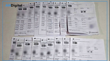 Desbarataron megabanda que falsificaba licencias de conducir y DNI en el AMBA