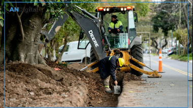 Terreno abandonado de Munro se transforma en un nuevo espacio verde