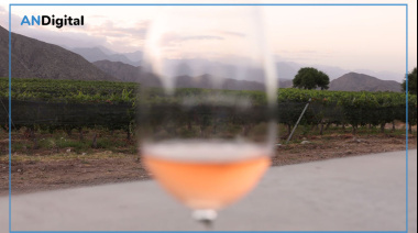 Del Valle de Chañarmuyo al Bosque de Leloir: nueva cava para descubrir vino de altura