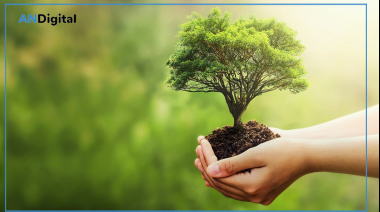 Día del Árbol: el rol de los árboles frente al calor y el cambio climático