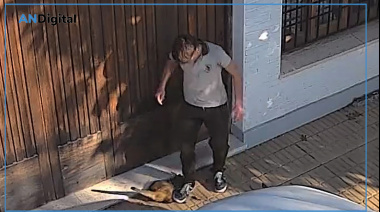 Repudio en Temperley: Acarició a un gato y luego le aplastó la cabeza con el pie