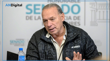 Berni respaldó la baja de la imputabilidad, pero cuestionó la nueva ley: “Es inviable”
