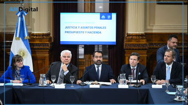 Avanza en el Senado el proyecto tributario de Inocencia Fiscal II