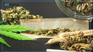 Cómo afecta el consumo de marihuana entre los más jóvenes