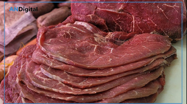 El consumo interno de carne vacuna se sigue hundiendo