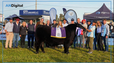 Semana del Angus: Don Cholo se consagró con “Josecito”, el Gran Campeón Macho de Primavera