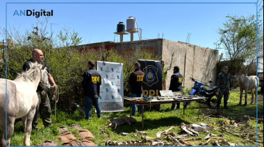Robaron cuatro caballos de polo en Pilar, los faenaron y vendían la carne en un barrio de Moreno