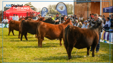Semana Angus de Primavera en Cañuelas: 60.000 cabezas vendidas y una valiosa genética