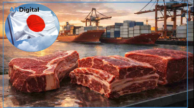 Júbilo del Gobierno por la reapertura del mercado nipón para la carne bovina argentina