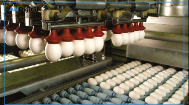 Las exportaciones de ovoproductos alcanzaron el mayor valor de la década