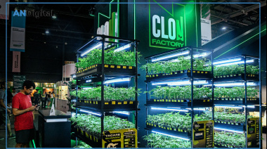 Cuenta regresiva para Expo Cannabis Argentina 2026