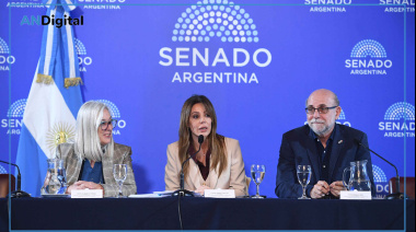 Cierre de minas: el Senado empezó a definir nuevas obligaciones para las empresas