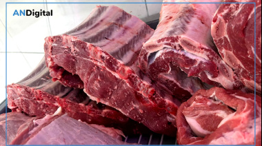 El consumo de carne vacuna sigue en caída libre