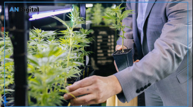 “No más presos y presas por cultivar cannabis en Argentina”