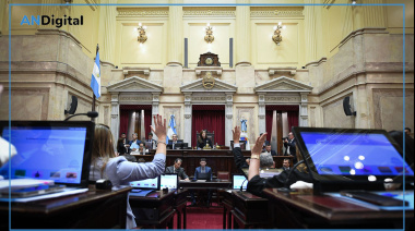 El Senado aprobó la reforma de la Ley de Salud Mental
