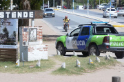 Un hombre decapitó al gato del vecino con un hacha en Ostende y lo detuvieron