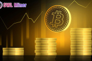 Con SWL Miner podes tener un ingreso estable diario más allá de la volatilidad del mercado cripto