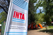 INTA arrasado: “Destruyen instituciones e institucionalidad con argumentos falaces”