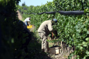 Trabajadores rurales rechazan “miserable” oferta de la Mesa de Enlace