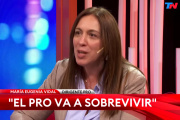 Vidal defendió el rol del PRO: “Hay más que pasta o pollo”