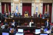 El Senado aprobó la ley de financiamiento universitario y la emergencia en pediatría