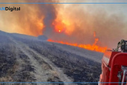 Sistemáticos incendios en el sur bonaerense: CARBAP reclama “planificación preventiva”