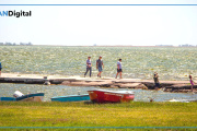 Pesca y recreación: tres lagunas bonaerenses para “escaparse”