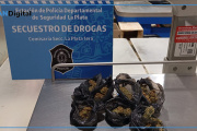 Joven detenido con marihuana fraccionada a pasos de la Gobernación bonaerense