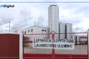 Profunda crisis en la industria láctea nacional: “No hay expectativas de nada”