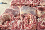 Incesante caída en el consumo interno de carne vacuna