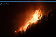 Se multiplicaron por diez los bosques patagónicos arrasados por el fuego