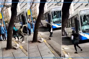 Menores violentos en Mar del Plata: atacaron al colectivero porque no les permitió viajar sin tarjeta