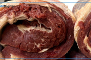 Consumo de carne vacuna “por el piso” e importaciones récord